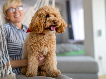 Mujer mayor con Caniche