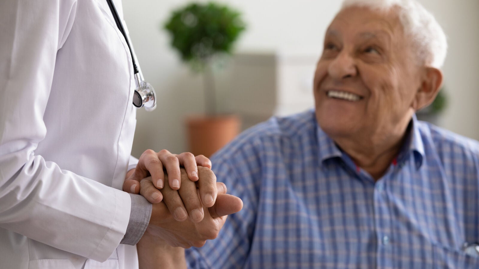  Mejoran con éxito el eFI, la herramienta que ayuda a los médicos a predecir riesgos en personas mayores