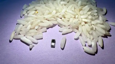 Los marcapasos junto a un montón de arroz a escala Los marcapasos junto a un montón de arroz a escala