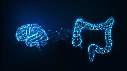 Conexión cerebro e intestinos Conexión cerebro e intestinos