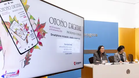 La concejal delegada del Mayor, Paloma Espinosa La concejal delegada del Mayor, Paloma Espinosa