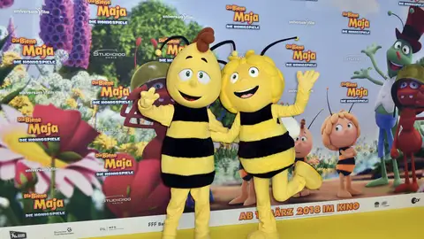 Protagonistas de La Abeja Maya Protagonistas de La Abeja Maya