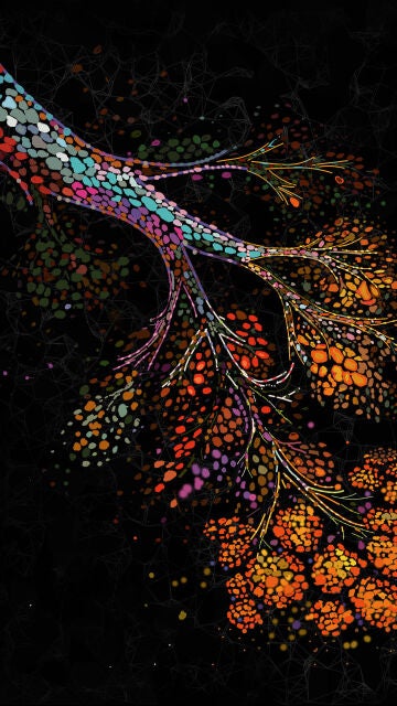 Ilustración que representa la remodelación espacial a múltiples escalas de la mama humana a medida que envejece