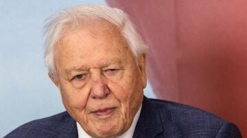 David Attenborough