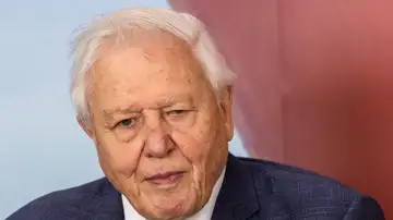 David Attenborough David Attenborough