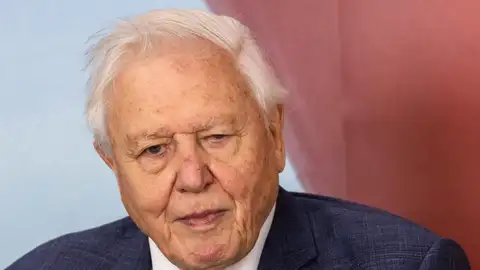 David Attenborough David Attenborough