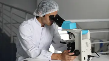 El cáncer colorrectal puede ser reducido más de 20 años gracias a una sola sigmoidoscopia a partir de los 50 años El cáncer colorrectal puede ser reducido más de 20 años gracias a una sola sigmoidoscopia a partir de los 50 años