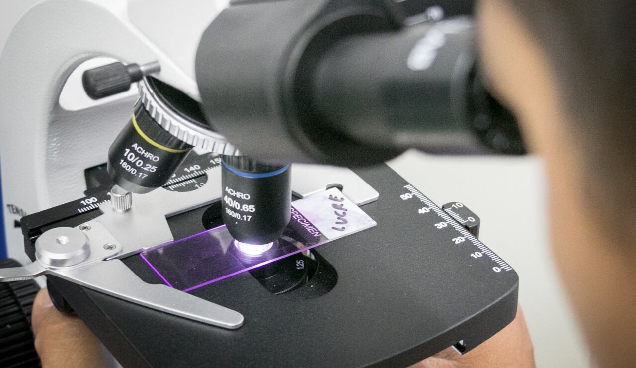 Una mol&eacute;cula logra "reprogramar" las defensas del cerebro frente al alzh&eacute;imer