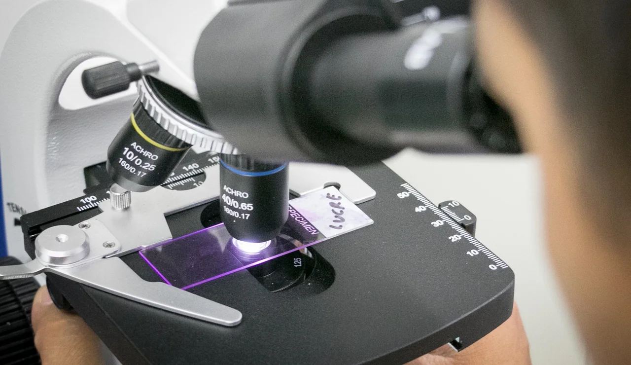 Una molécula logra "reprogramar" las defensas del cerebro frente al alzhéimer