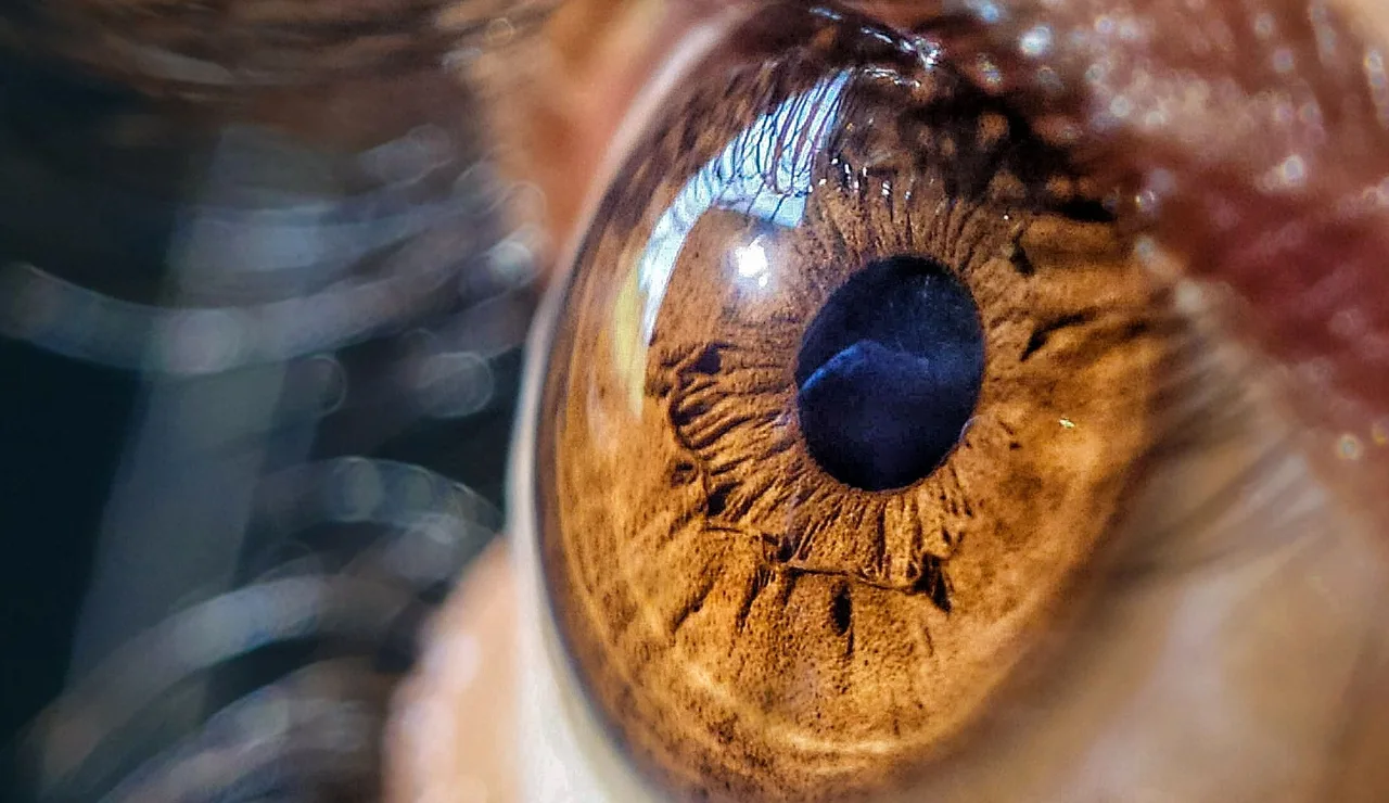 ¿Qué efecto puede tener el calor sobre los ojos?