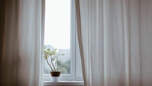 Luz natural: el factor ambiental que se asocia a un menor riesgo de demencia