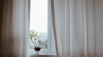 Luz natural: el factor ambiental que se asocia a un menor riesgo de demencia Luz natural: el factor ambiental que se asocia a un menor riesgo de demencia