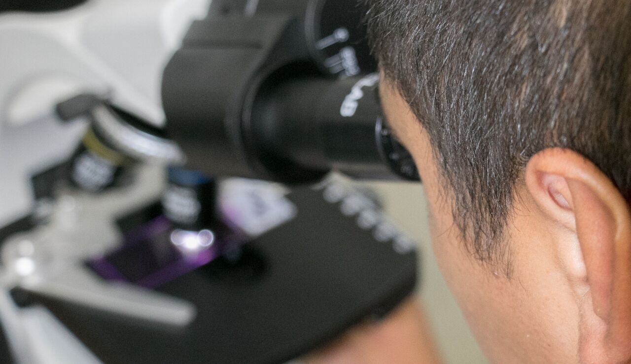 El envejecimiento extremo, bajo la lupa de los investigadores