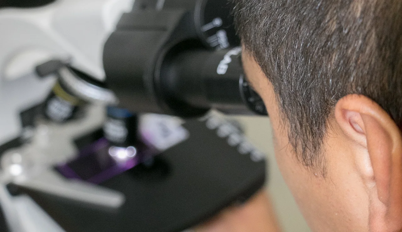 El envejecimiento extremo, bajo la lupa de los investigadores