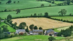El 95 % de los europeos considera clave la agricultura y el mundo rural para el futuro de la UE