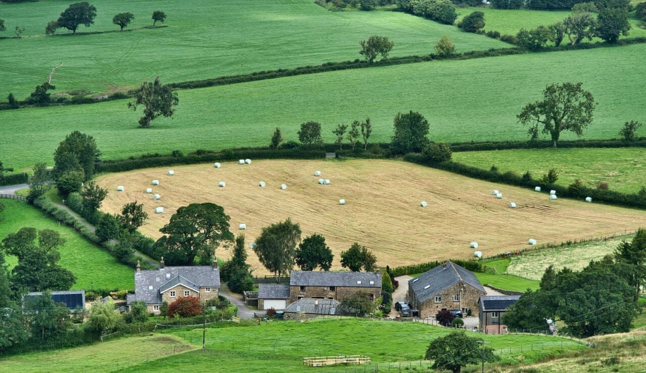 El 95 % de los europeos considera clave la agricultura y el mundo rural para el futuro de la UE