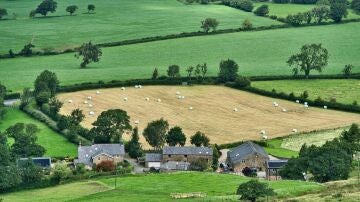 El 95 % de los europeos considera clave la agricultura y el mundo rural para el futuro de la UE