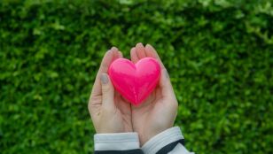 D&iacute;a Mundial del Coraz&oacute;n: As&iacute; funciona y estos son sus principales enemigos