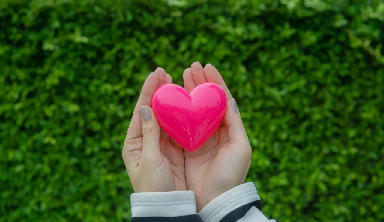 Día Mundial del Corazón: Así funciona y estos son sus principales enemigos