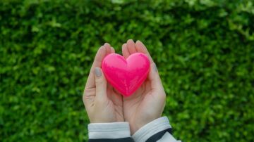 D&iacute;a Mundial del Coraz&oacute;n: As&iacute; funciona y estos son sus principales enemigos