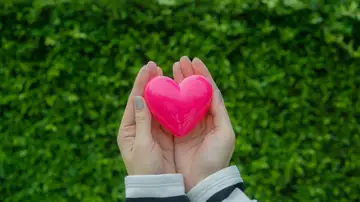 Día Mundial del Corazón: Así funciona y estos son sus principales enemigos Día Mundial del Corazón: Así funciona y estos son sus principales enemigos