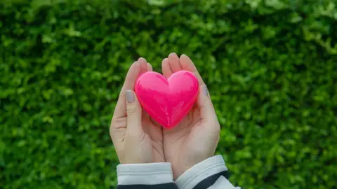 Día Mundial del Corazón: Así funciona y estos son sus principales enemigos Día Mundial del Corazón: Así funciona y estos son sus principales enemigos