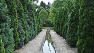 Sereno sendero de jard&iacute;n bordeado de altos &aacute;rboles de hoja perenne y un estanque reflectante, perfecto para una caminata tranquila.