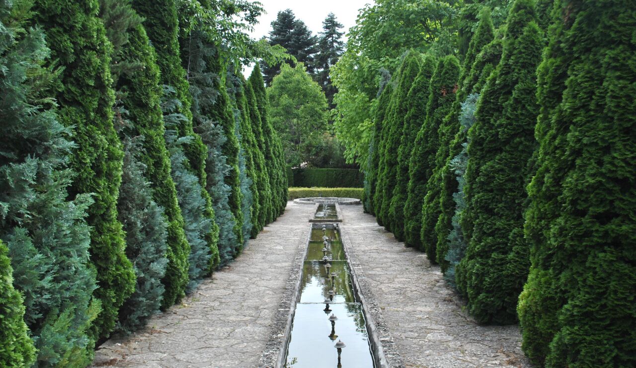 Sereno sendero de jard&iacute;n bordeado de altos &aacute;rboles de hoja perenne y un estanque reflectante, perfecto para una caminata tranquila.