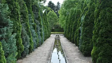 Sereno sendero de jardín bordeado de altos árboles de hoja perenne y un estanque reflectante, perfecto para una caminata tranquila. Sereno sendero de jardín bordeado de altos árboles de hoja perenne y un estanque reflectante, perfecto para una caminata tranquila.