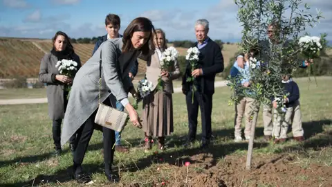 Un bosque del recuerdo en España supera las 1.800 ceremonias funerarias en 2026 Un bosque del recuerdo en España supera las 1.800 ceremonias funerarias en 2026
