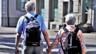 &nbsp;Descubren que la presencia de astroglias inmaduras se relaciona con la menor capacidad para resolver problemas con la edad