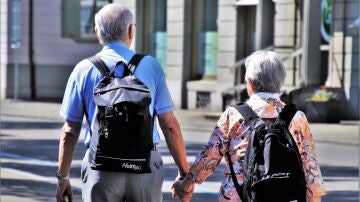 &nbsp;Descubren que la presencia de astroglias inmaduras se relaciona con la menor capacidad para resolver problemas con la edad