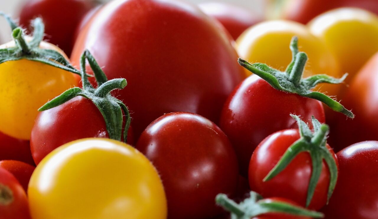 Primer plano de tomates de dos colores